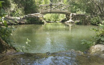 ACTIVITAT CULTURAL: Arrels naturals a Banyeres de Mariola · El Molí l’Ombría