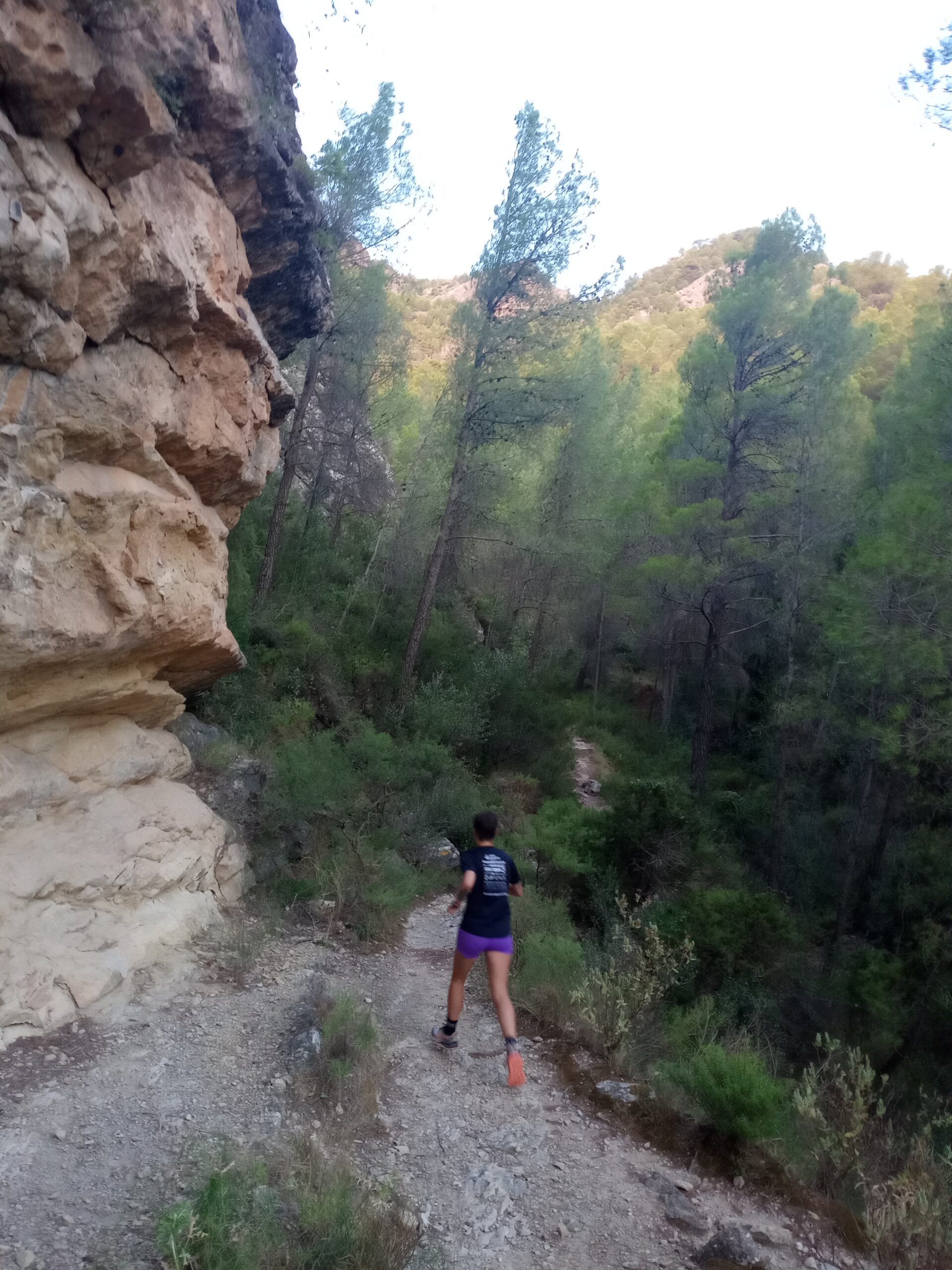 Social Run VRT 6K